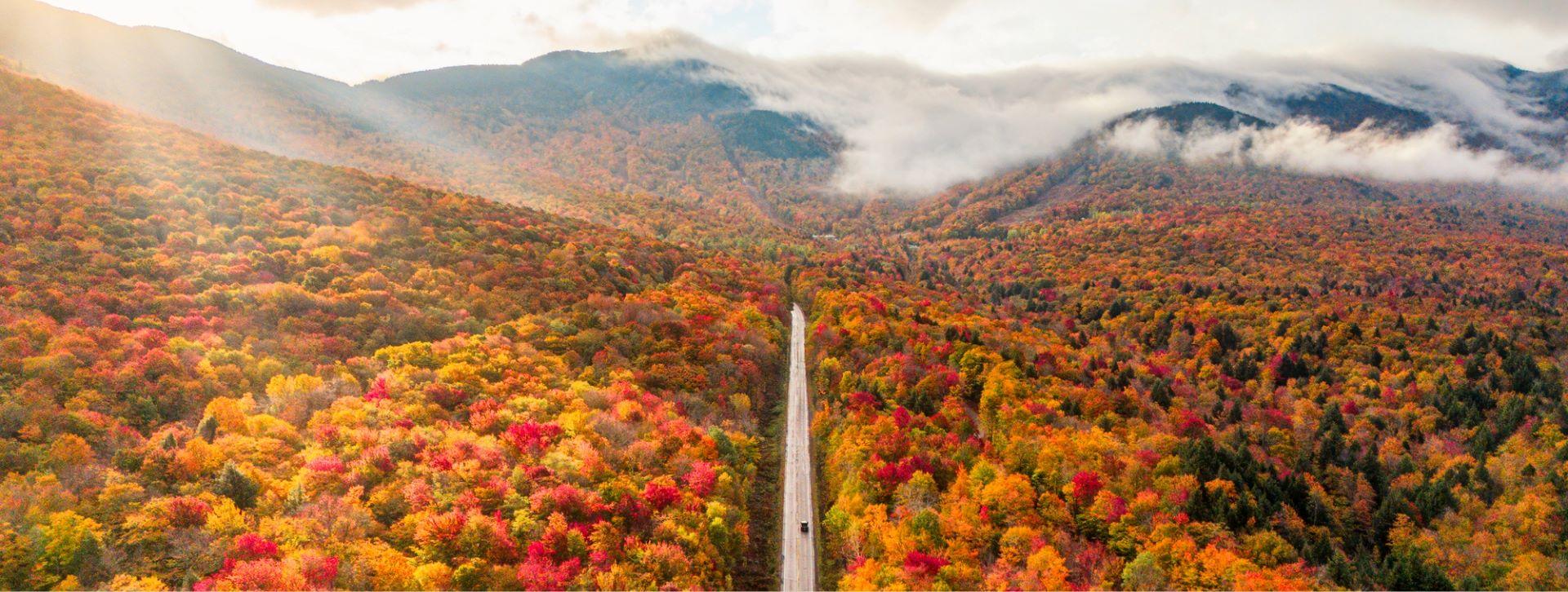 Scenic aerial view of forest in fall colors with road leading through mountains