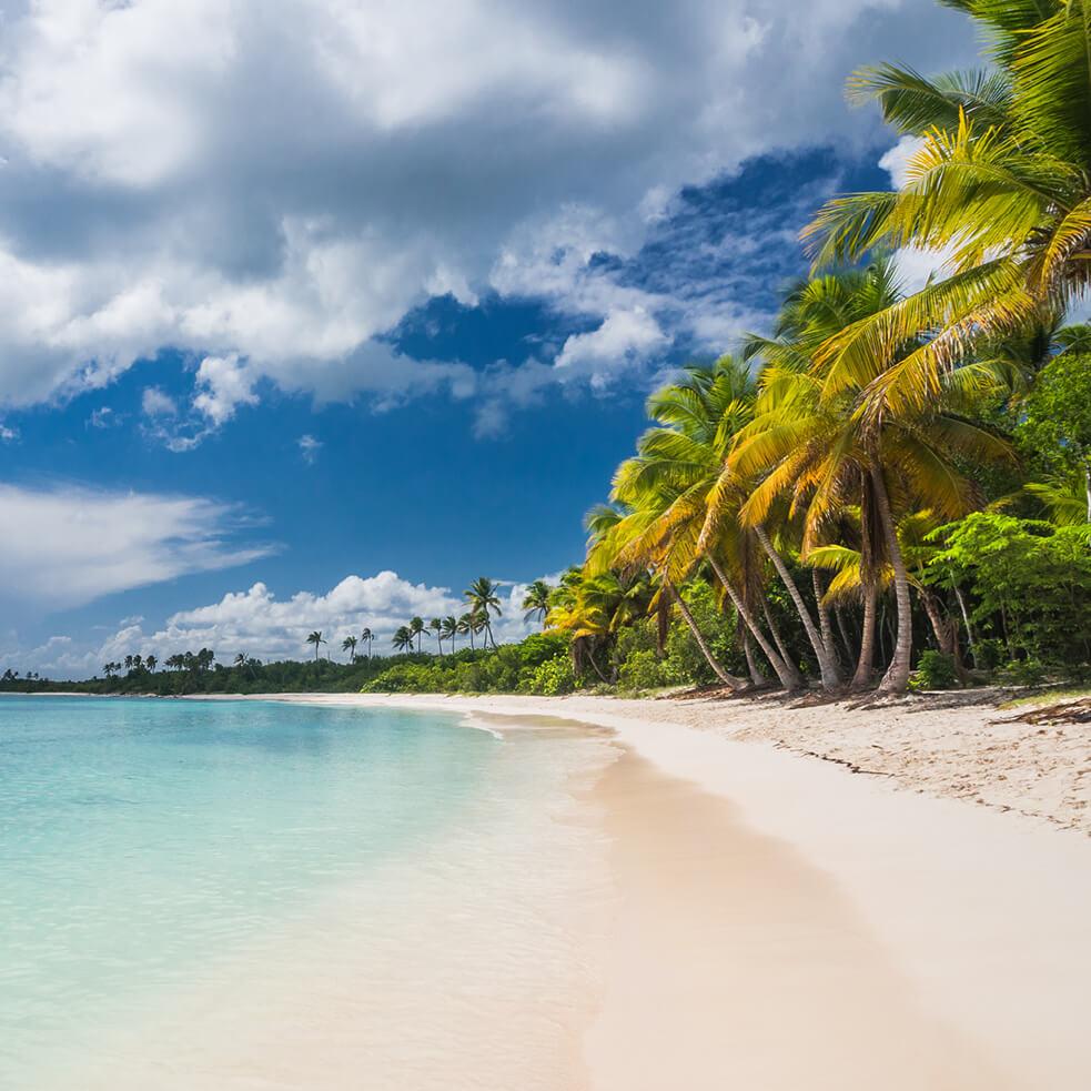 Bavaro Beach in Punta Cana, Dominican Republic, known for its soft white sand and crystal-clear turquoise waters