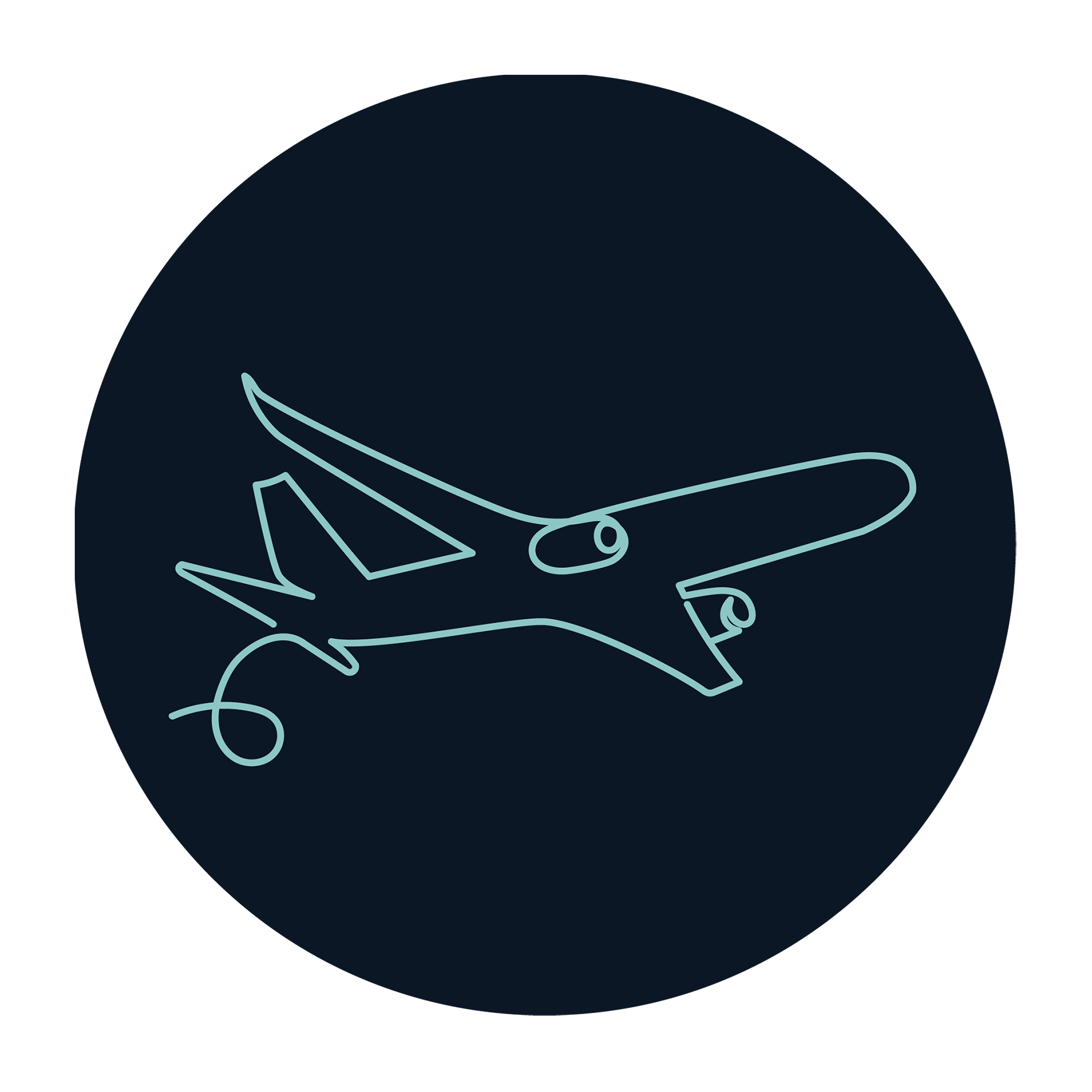 Airplane graphic icon
